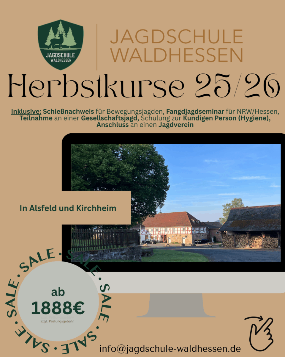 Unsere aktuellen Angebote! 